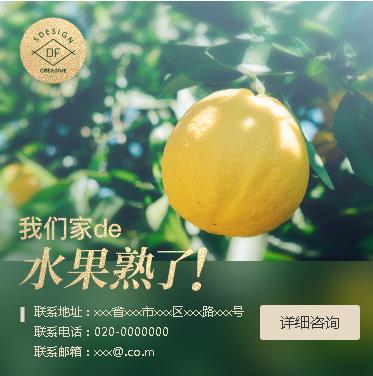 南明区果园果林小程序开发